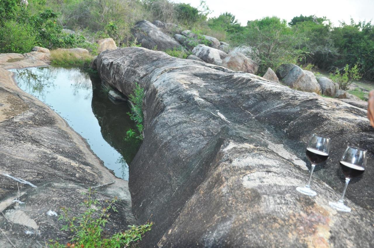 Wild Trails Yala By Suri Exterior foto