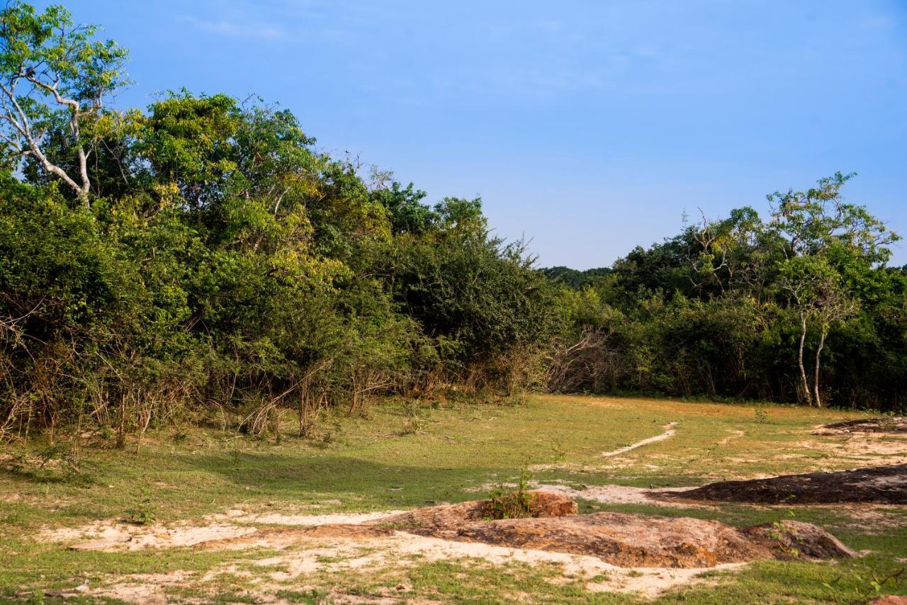 Wild Trails Yala By Suri Exterior foto